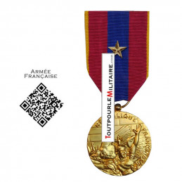 Médaille ordonnance Défense Nationale Or agrafe Etoile Bronze Citation
