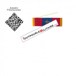 Barrette dixmude Défense Nationale Or agrafe Etoile Bronze Citation