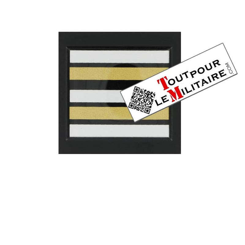 Gendarme Lieutenant-Colonel départemental galon velcro plastique
