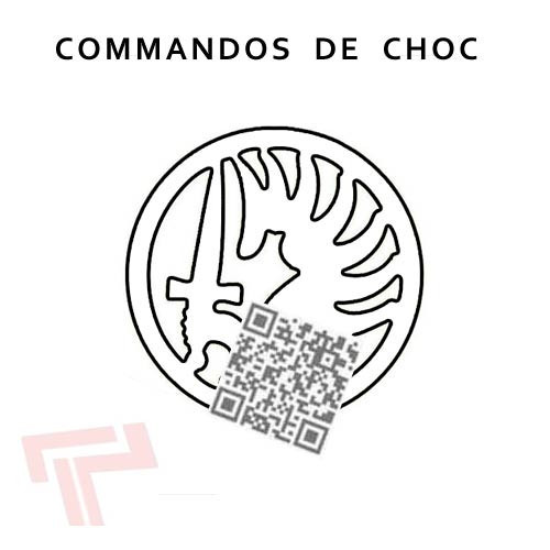 Commandos de choc képis galons | ToutpourleMILITAIRE.COM