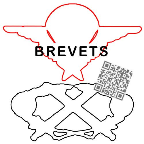 BREVETS MILITAIRES DE POITRINE